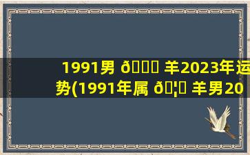 1991男 🐝 羊2023年运势(1991年属 🦟 羊男2023年运势及运程每月运程)